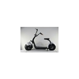 EcoWheel GR1+ OFFROAD 1000W bílá