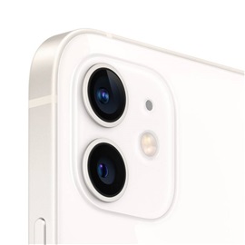 image_product_50.png